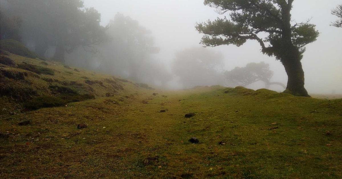 Best TikTok Downloader Tools 2026 (Compared & Tested)