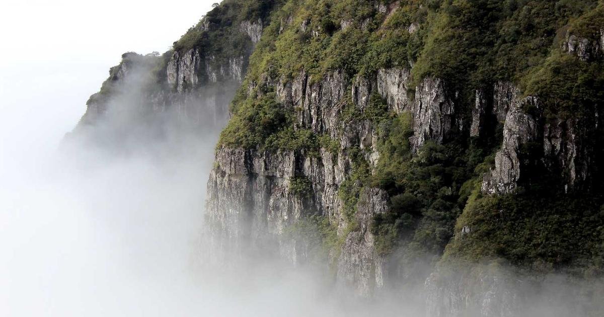 Boost TikTok Engagement to Attract Real Followers