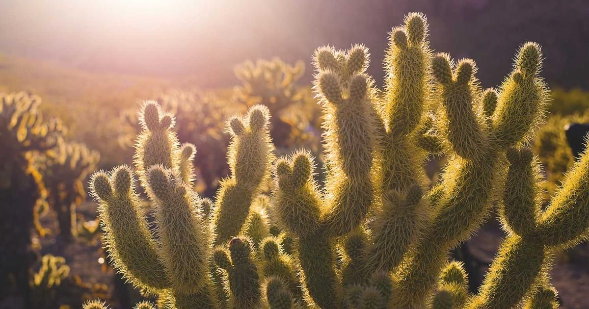 How to Download TikTok Slideshow Videos without Watermark