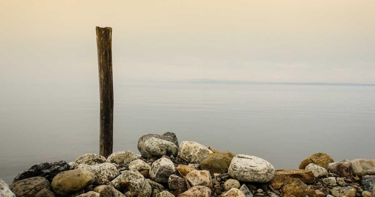 How to Manage and Optimize Your TikTok Followers