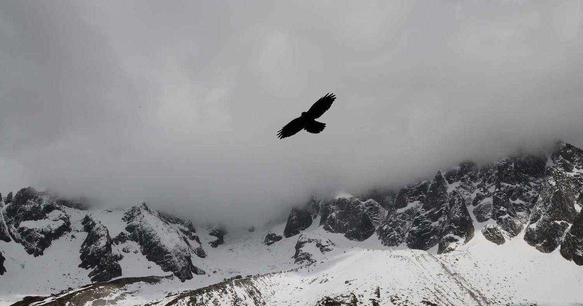 Why Real TikTok Followers Matter More Than Fake Ones