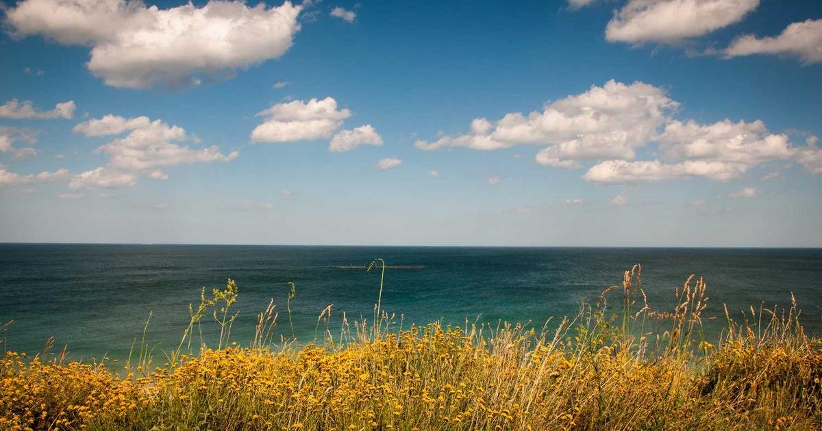 TikTok Downloader Not Working? 7 Common Fixes (2026)