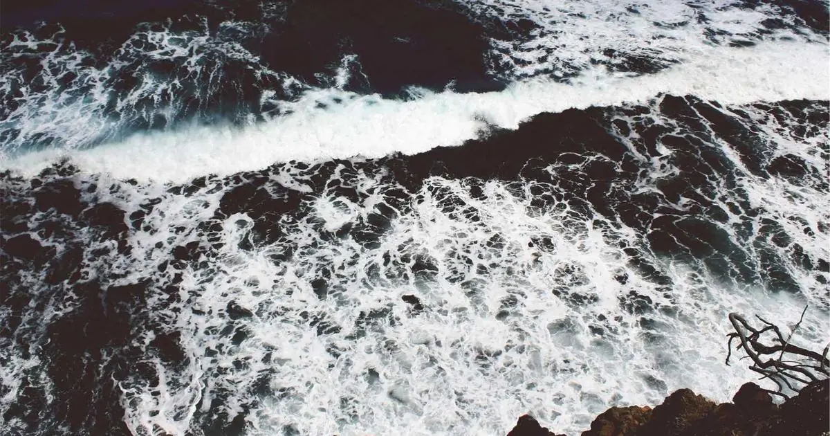 Cách Tải Video TikTok Không Logo 2026 (Hướng Dẫn Chi Tiết)