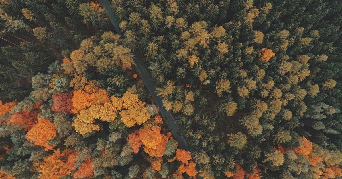 TikTok Follower Growth Strategy for Beginners