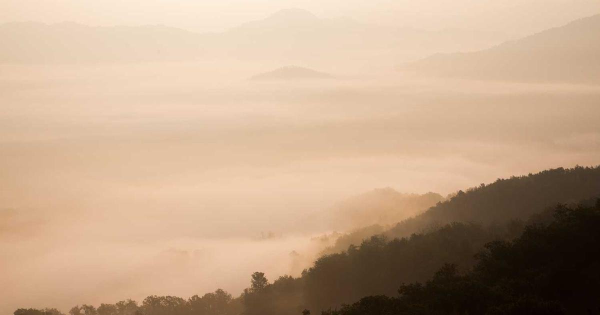 Tikup Follower Exchange - Complete User Guide